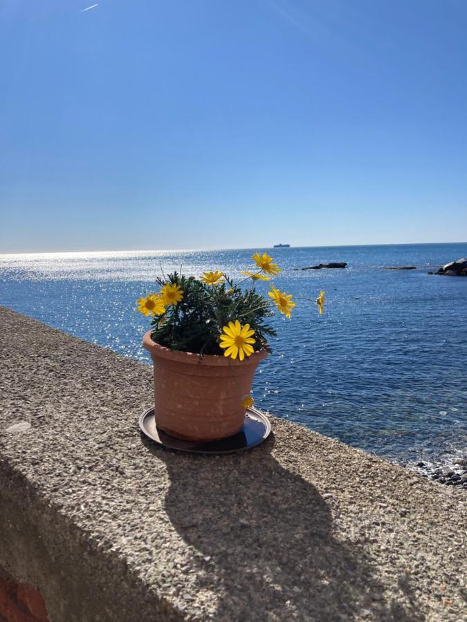 Casa Bruna Sul Mare Appartamento *